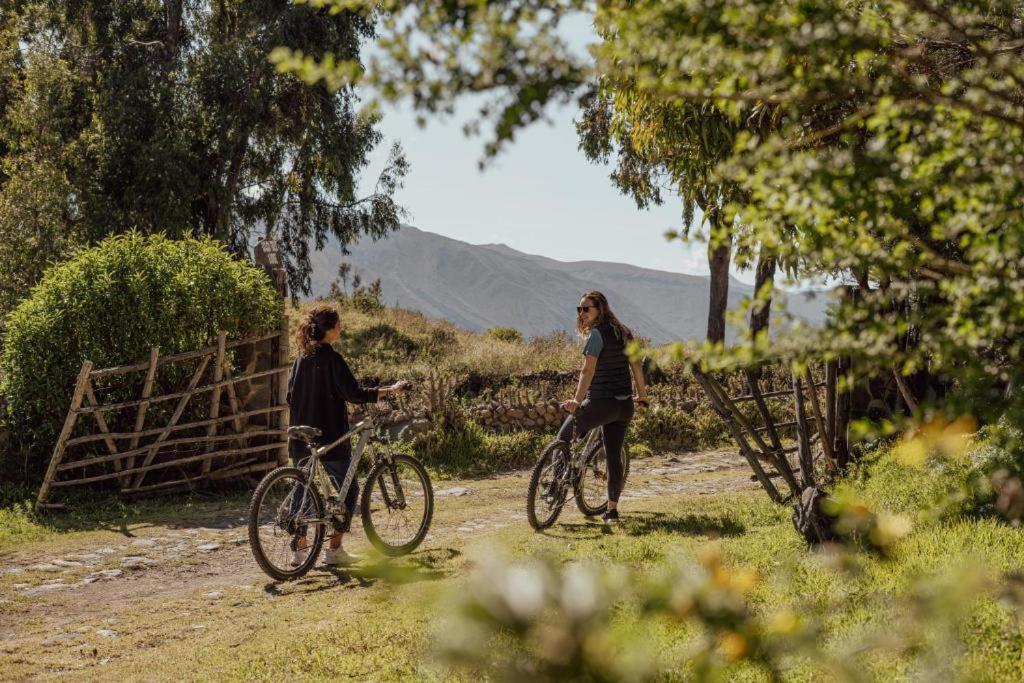 Colca Trek Lodge Best Experience Pinchollo Eksteriør billede